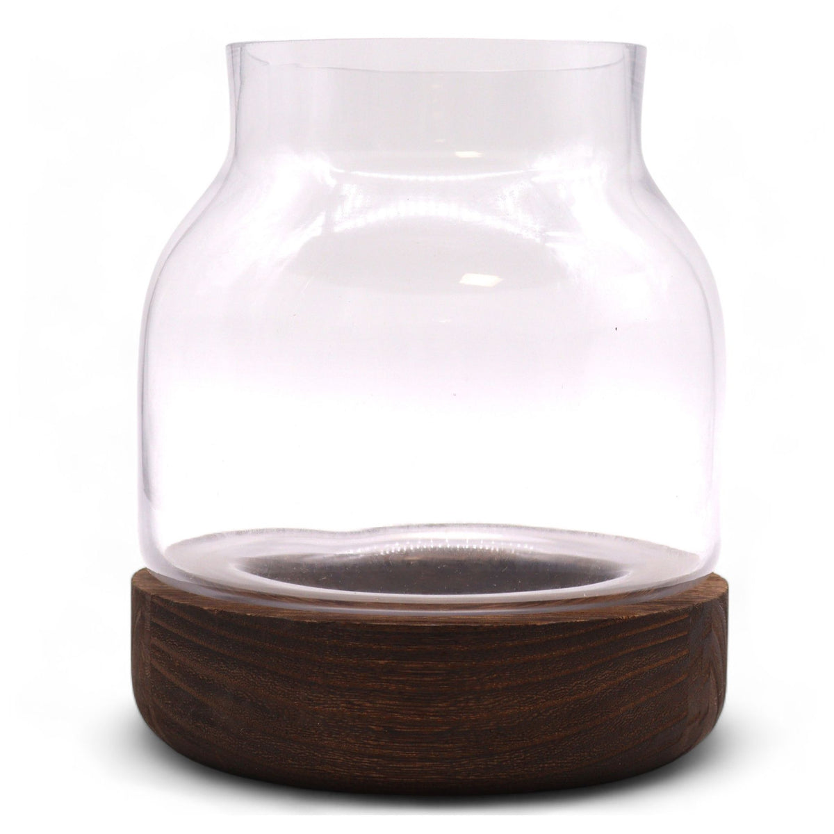 Medium Shaped Terrarium, Dark Tung Wood, 16x18cm