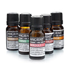 10 ml Niaouli Essential Oil – view 2