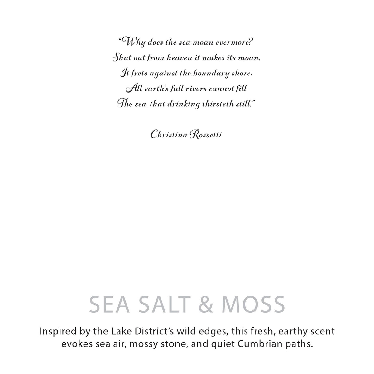 Agnes + Cat Botanical Soy Wax Candle - Sea Salt & Moss – view 7