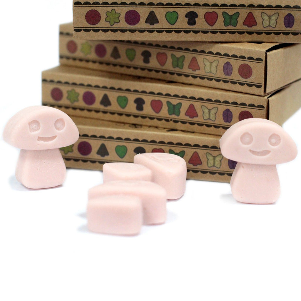 Old Ginger Wax Melts Gift Box of 6 – view 6