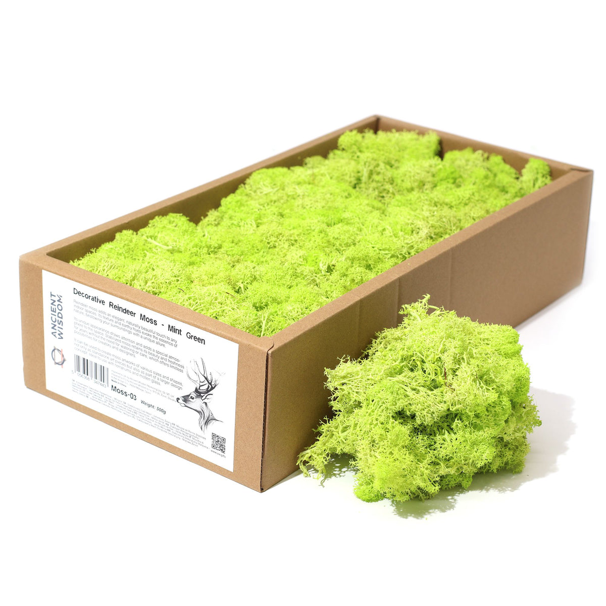 Preserved Reindeer Moss - Mint Green - 635 g Box