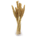 Cantal Grass Bunch - Natural (Set of 6) – view 9