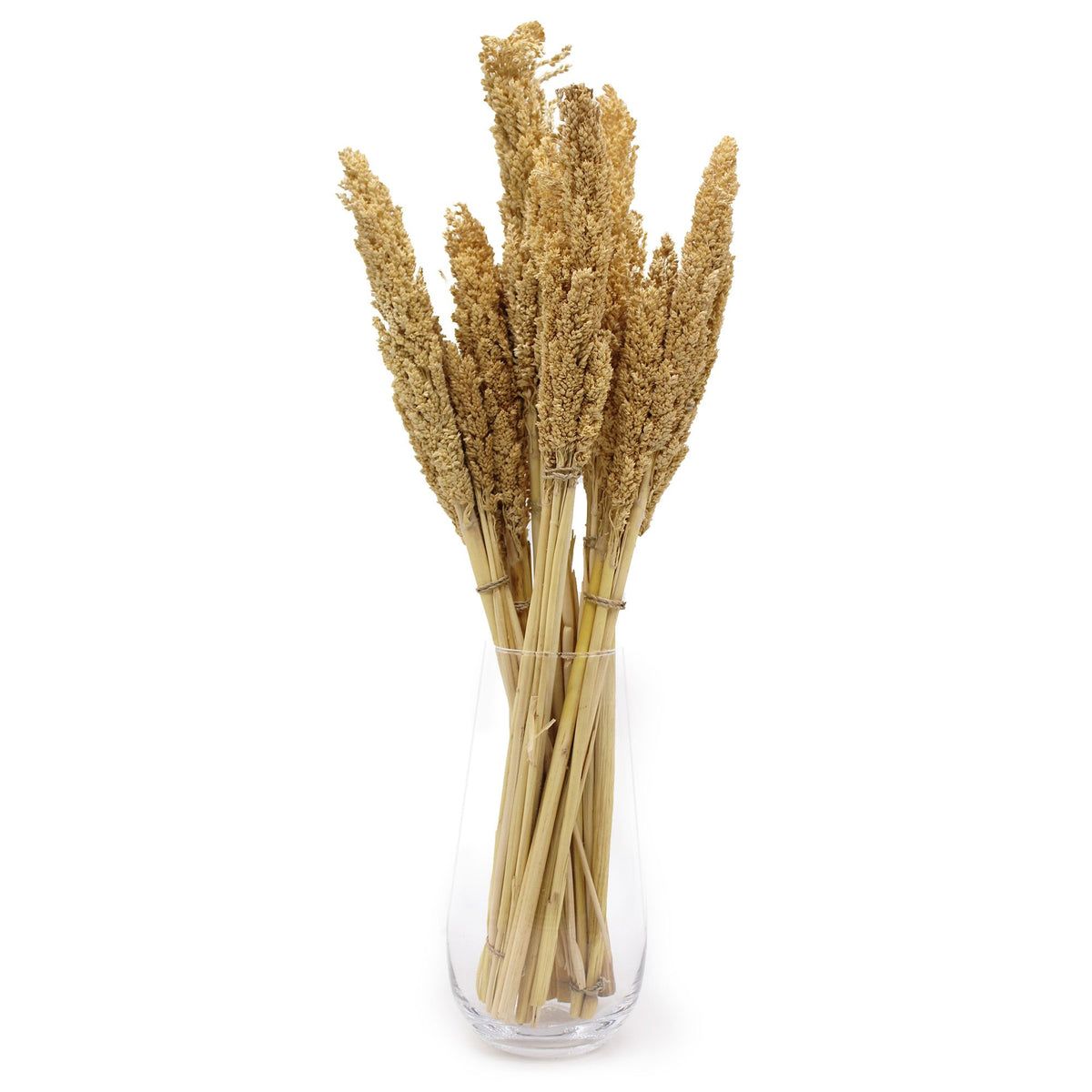 Cantal Grass Bunch - Natural (Set of 6) – view 9