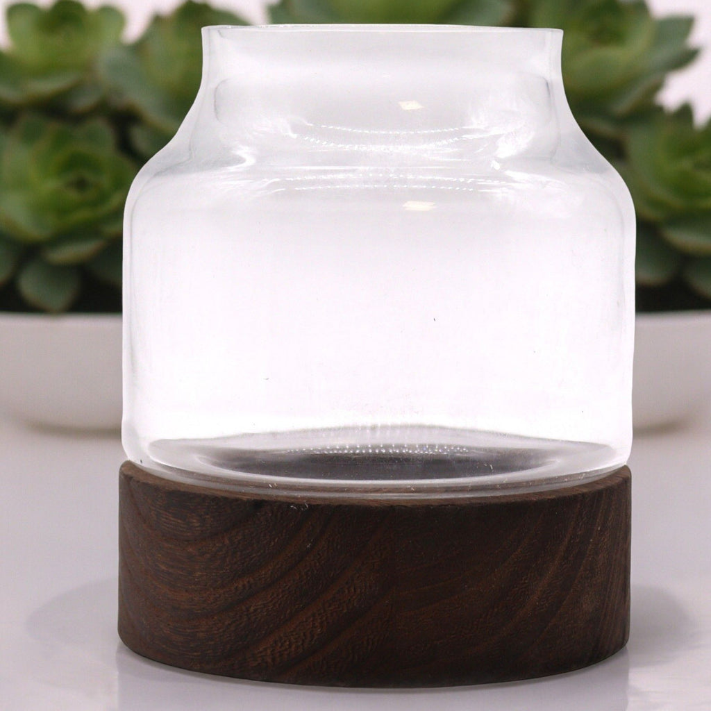 Medium Shaped Terrarium, Dark Tung Wood, 16x18cm – view 2
