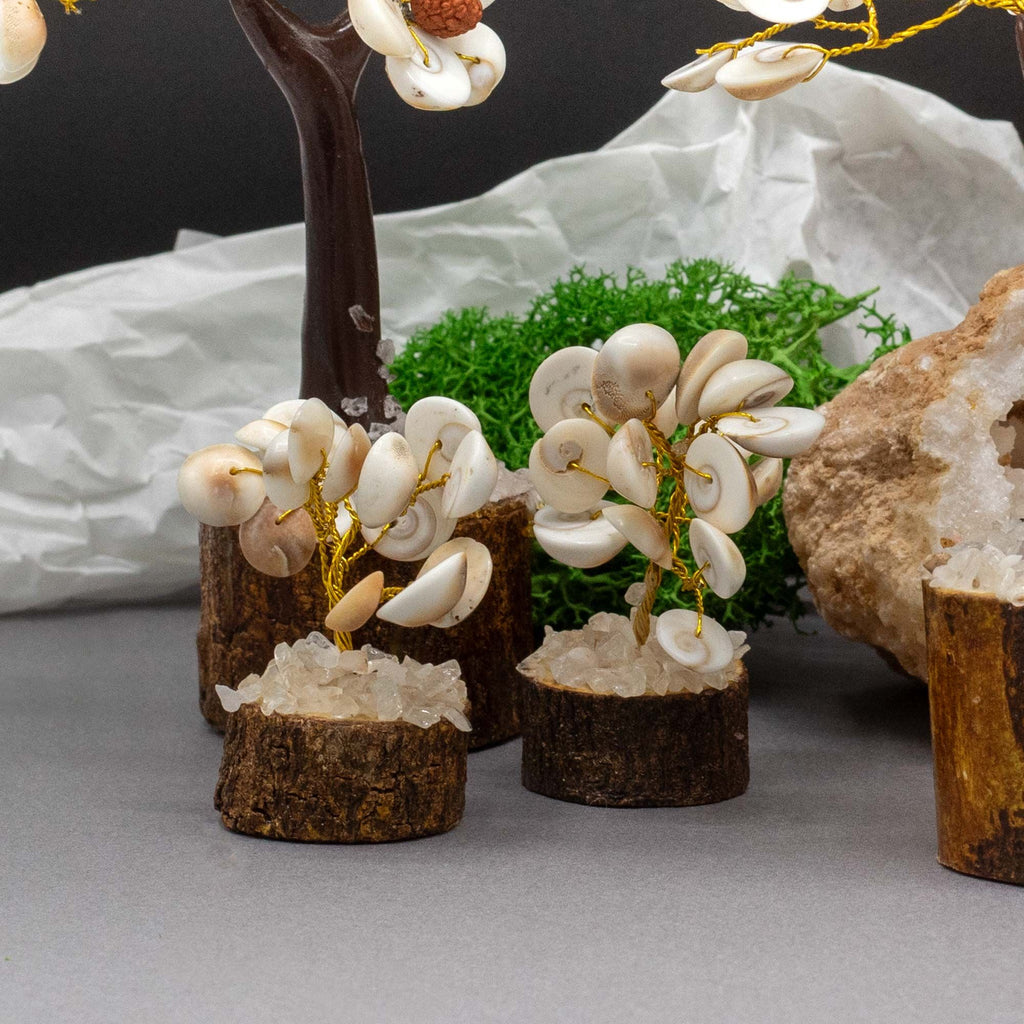 Small Gomati Chakra Stone Tree, Set of 3 – view 2