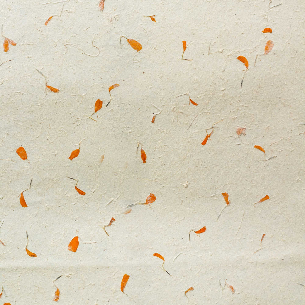 Lokta Wrapping Paper 51x76cm, Marigold, Pack of 5 – view 4
