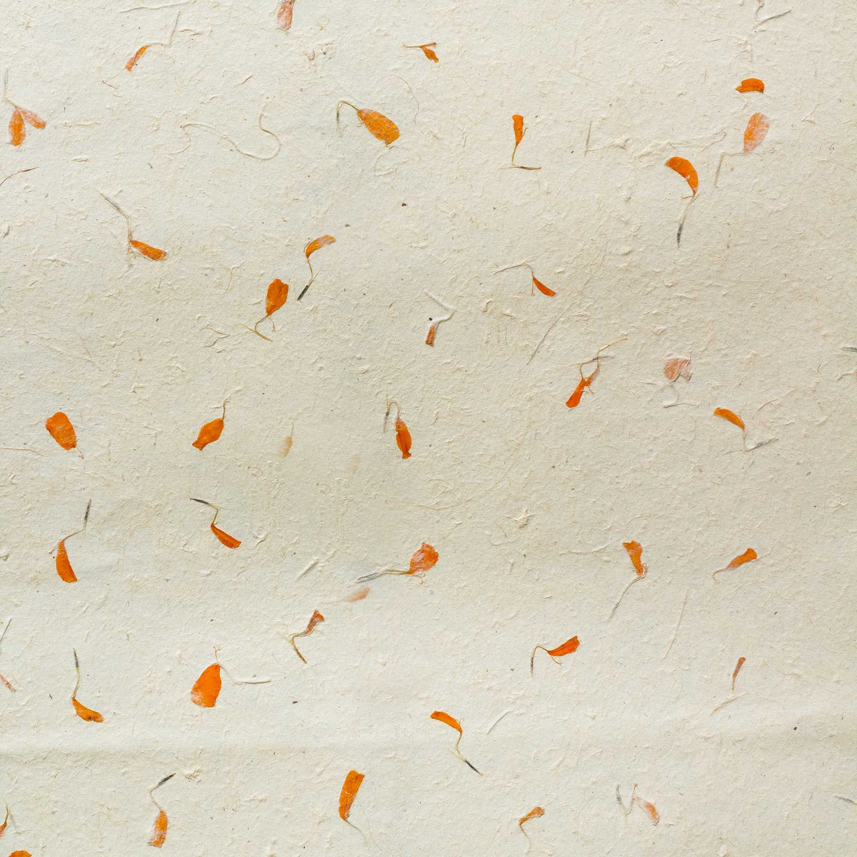 Lokta Wrapping Paper 51x76cm, Marigold, Pack of 5 – view 4