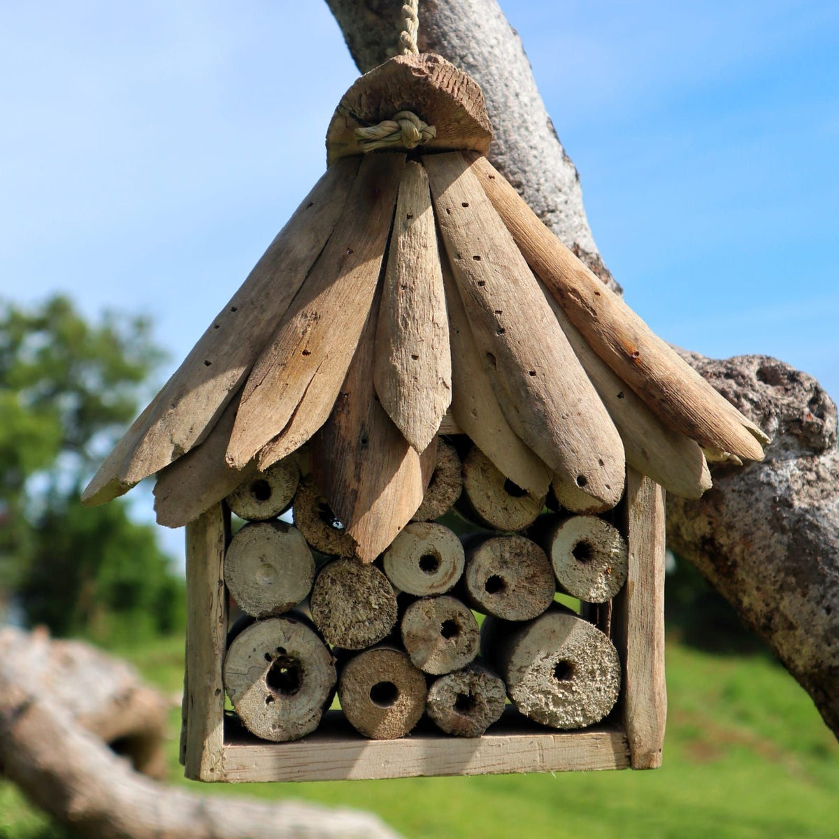 Recycled Driftwood Bee and Insect House – view 3