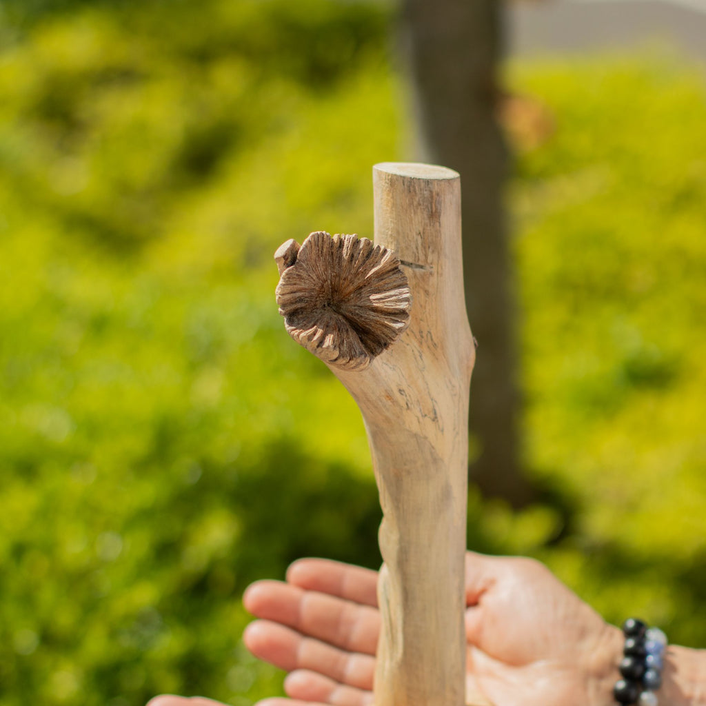 Parasite Wood Carving - Greenman Face – view 3