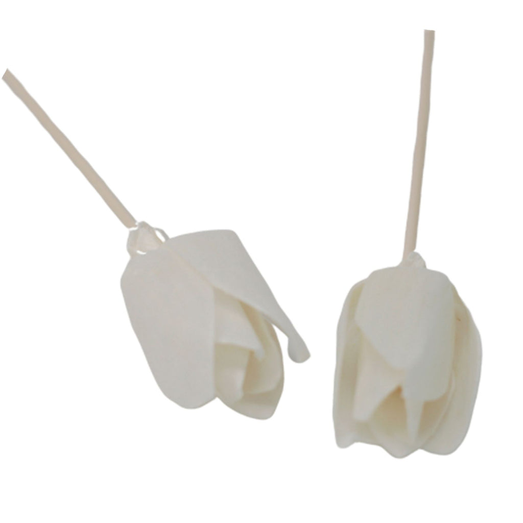 Sola Wood Tulip Diffuser Reeds, Set of 4
