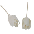 Sola Wood Tulip Diffuser Reeds, Set of 4