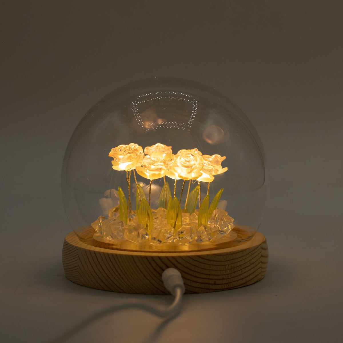 Floral Glow Dome - 10 Pink Roses, LED USB – view 6