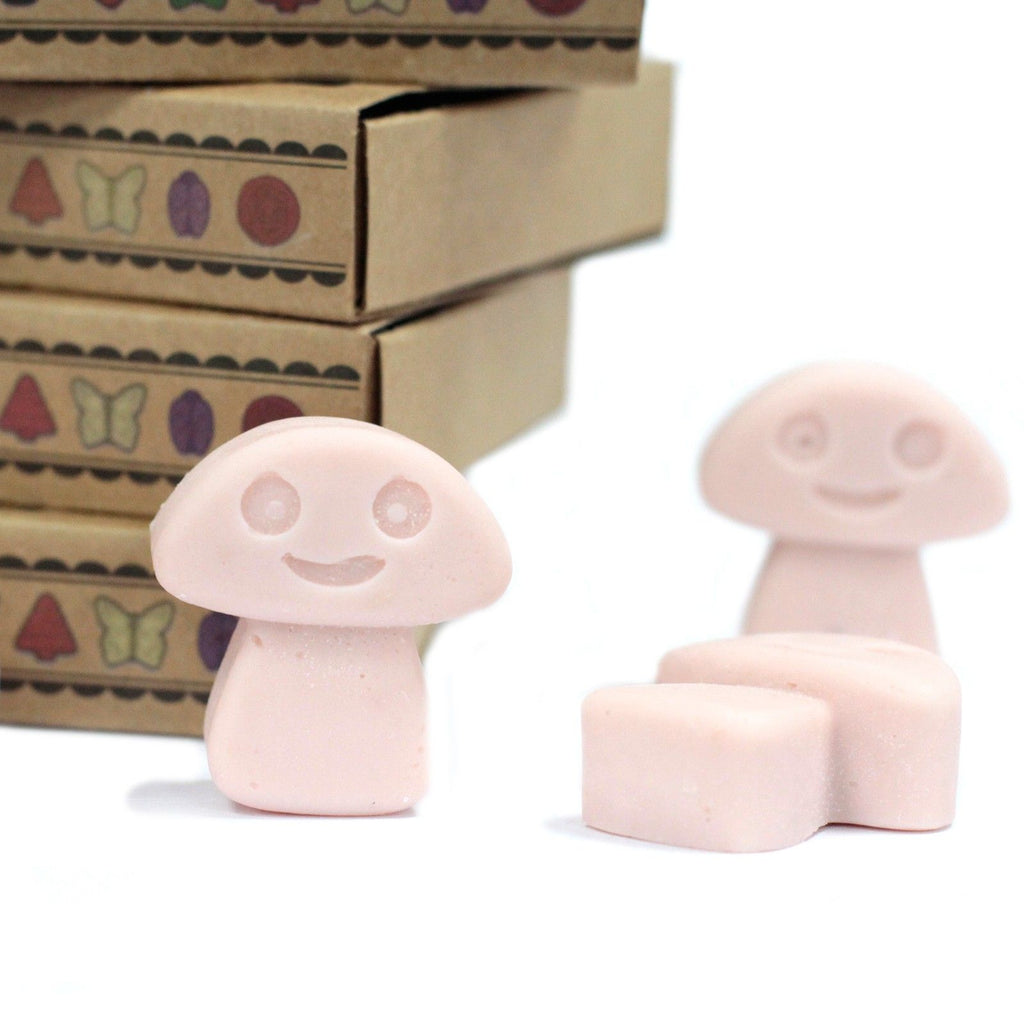 Old Ginger Wax Melts Gift Box of 6 – view 5