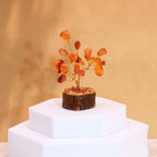 Carnelian Mini Gemstone Tree on Wood Base, 15 Stones