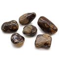 Bag of 6 Large African Nguni Jasper Tumble Stones