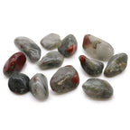 Bag of 12 Bloodstone Sephtonite Tumble Stones - Medium African