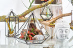Glass Terrarium, Small Diamond – view 5