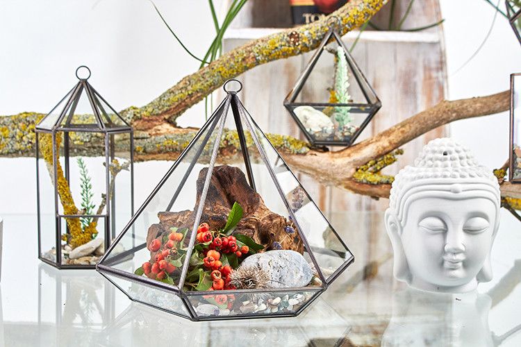 Glass Terrarium, Small Diamond – view 5