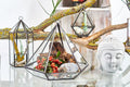Glass Terrarium, Lantern Shape