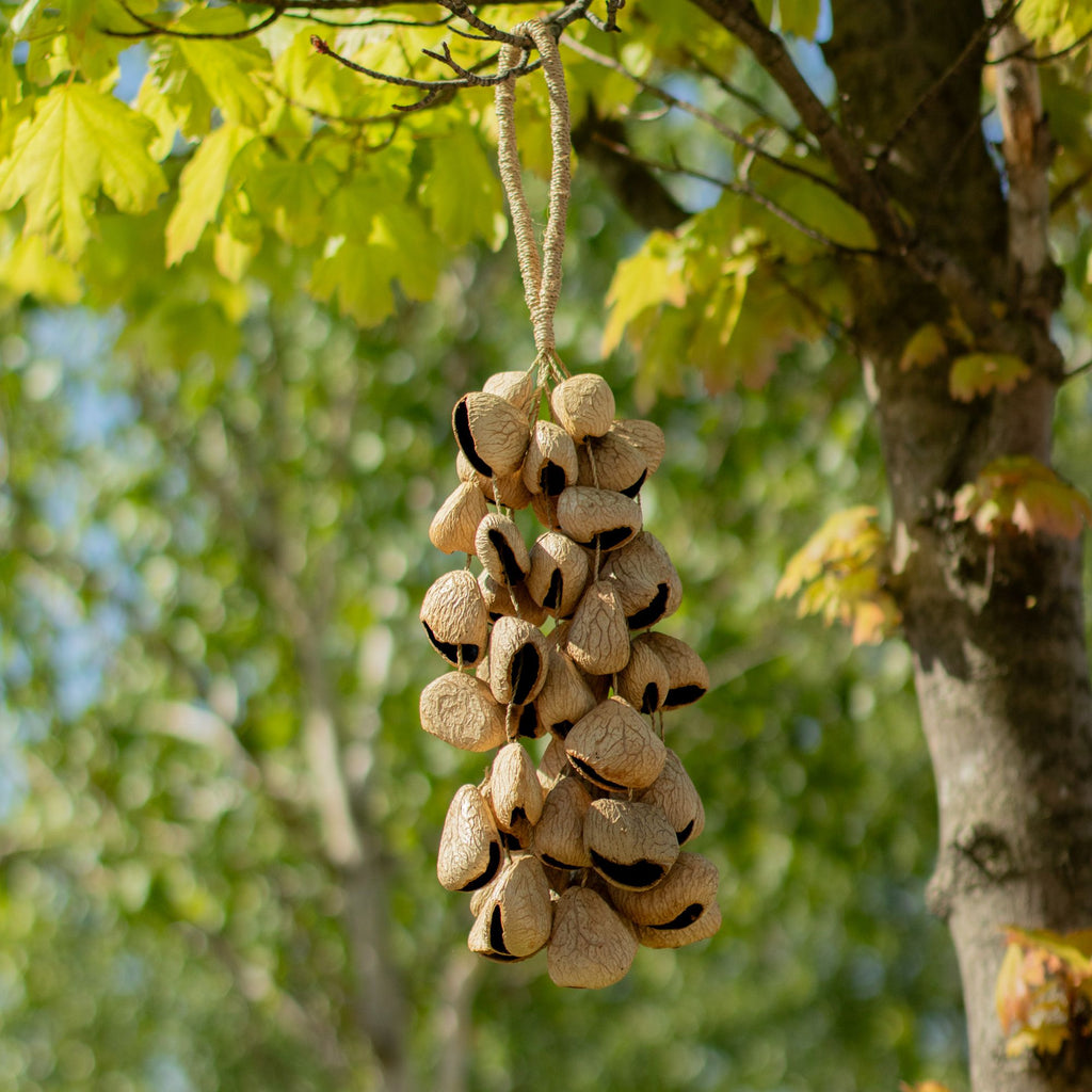Medium Pangi Seed Shell Shaker - String of 30 Natural Shells – view 6