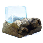 Molten Crackled Glass Bowl on Wood