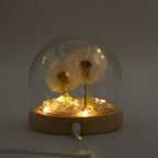 Floral Glow Dome - 2 Dandelions, LED USB – view 4