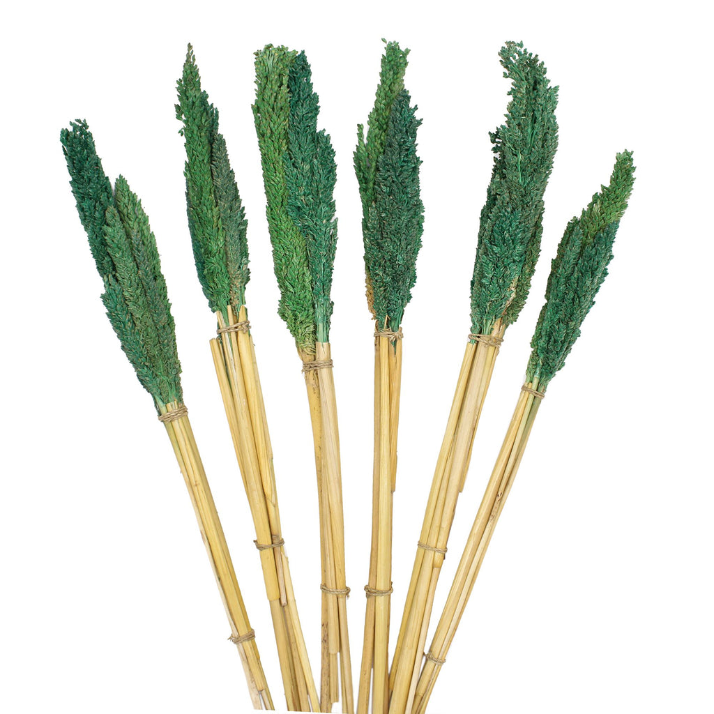 Cantal Grass Bunch - Teal (Set of 6) – view 3