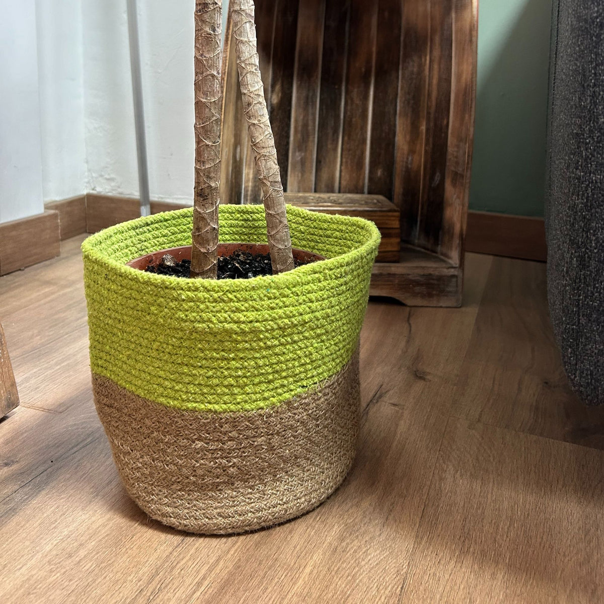 Set of 3 Cotton Rope Storage Baskets - Pistachio – view 2