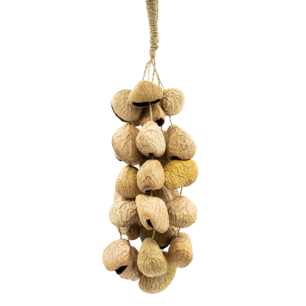 Medium Pangi Seed Shell Shaker - String of 30 Natural Shells