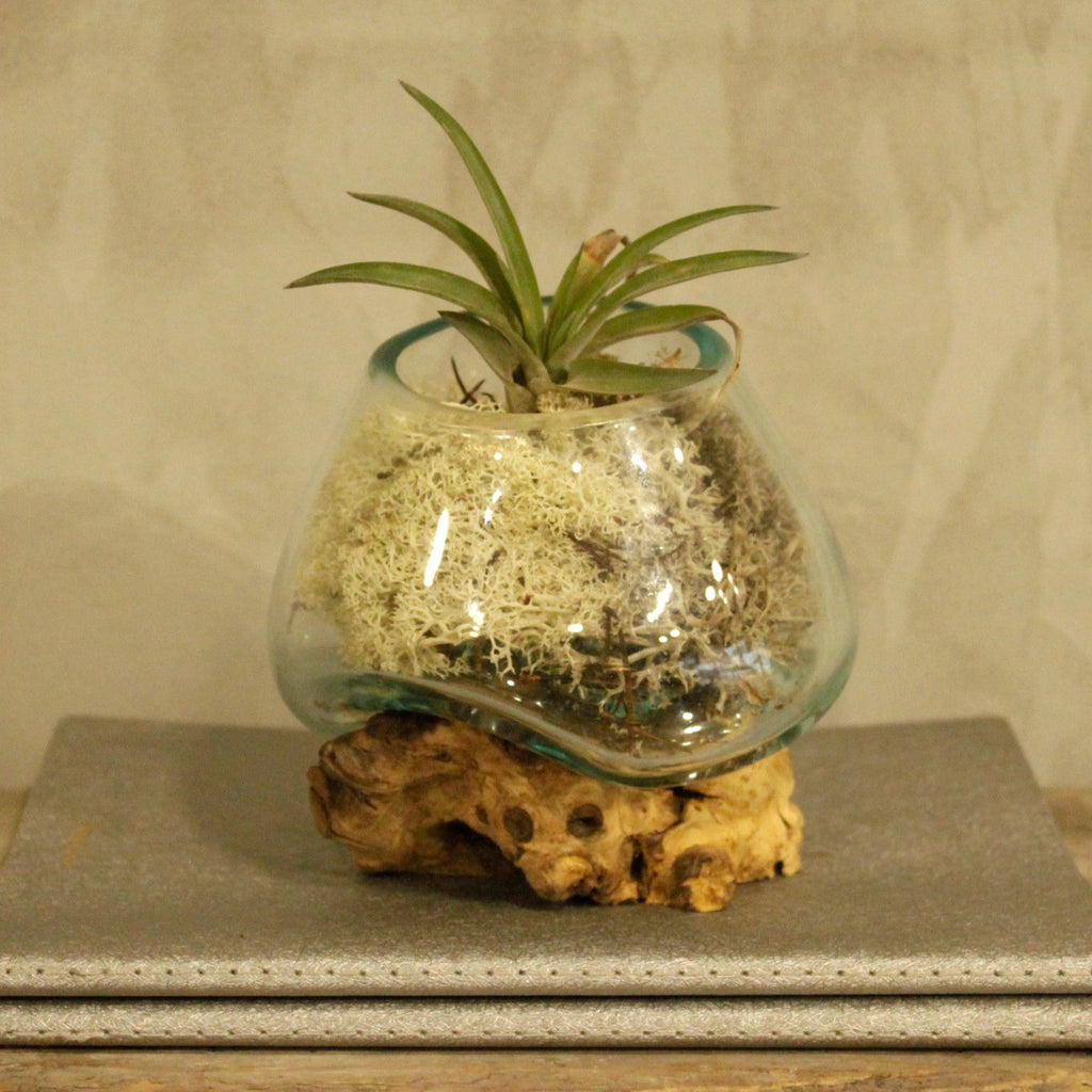Molten Glass Bowl on Wood - Small – view 5