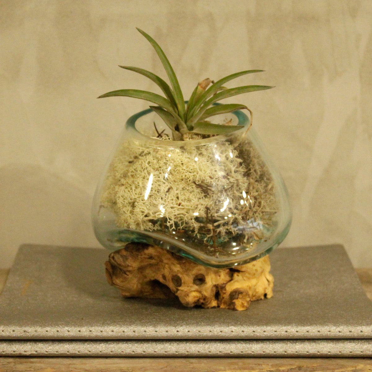 Molten Glass Bowl on Wood - Small – view 5