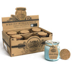 Winter Berry Soy Wax Pot Candle in Glass Jar