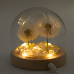 Floral Glow Dome - 2 Dandelions, LED USB – view 5