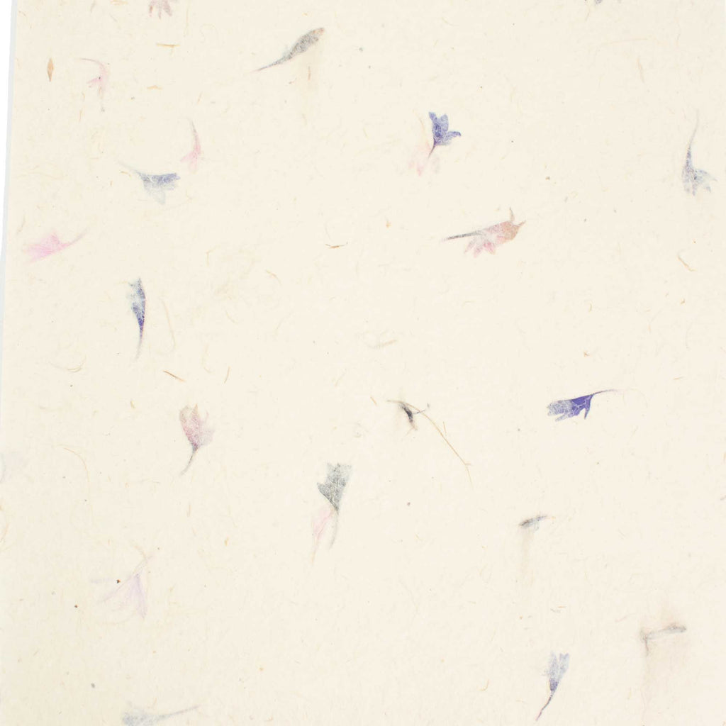 A4 Lokta Paper Pack, Cornflower Petals, 20 Sheets