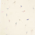 A4 Lokta Paper Pack, Cornflower Petals, 20 Sheets