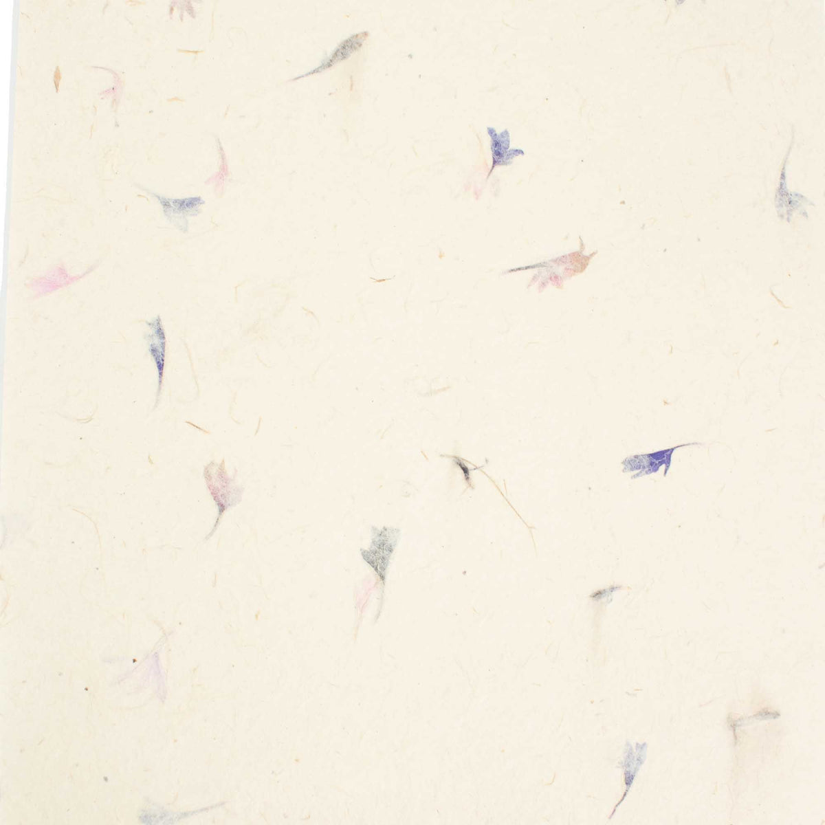 A4 Lokta Paper Pack, Cornflower Petals, 20 Sheets