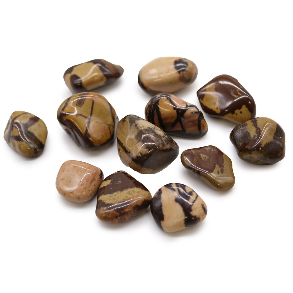 Bag of 12 Nguni Jasper Tumble Stones - Medium African