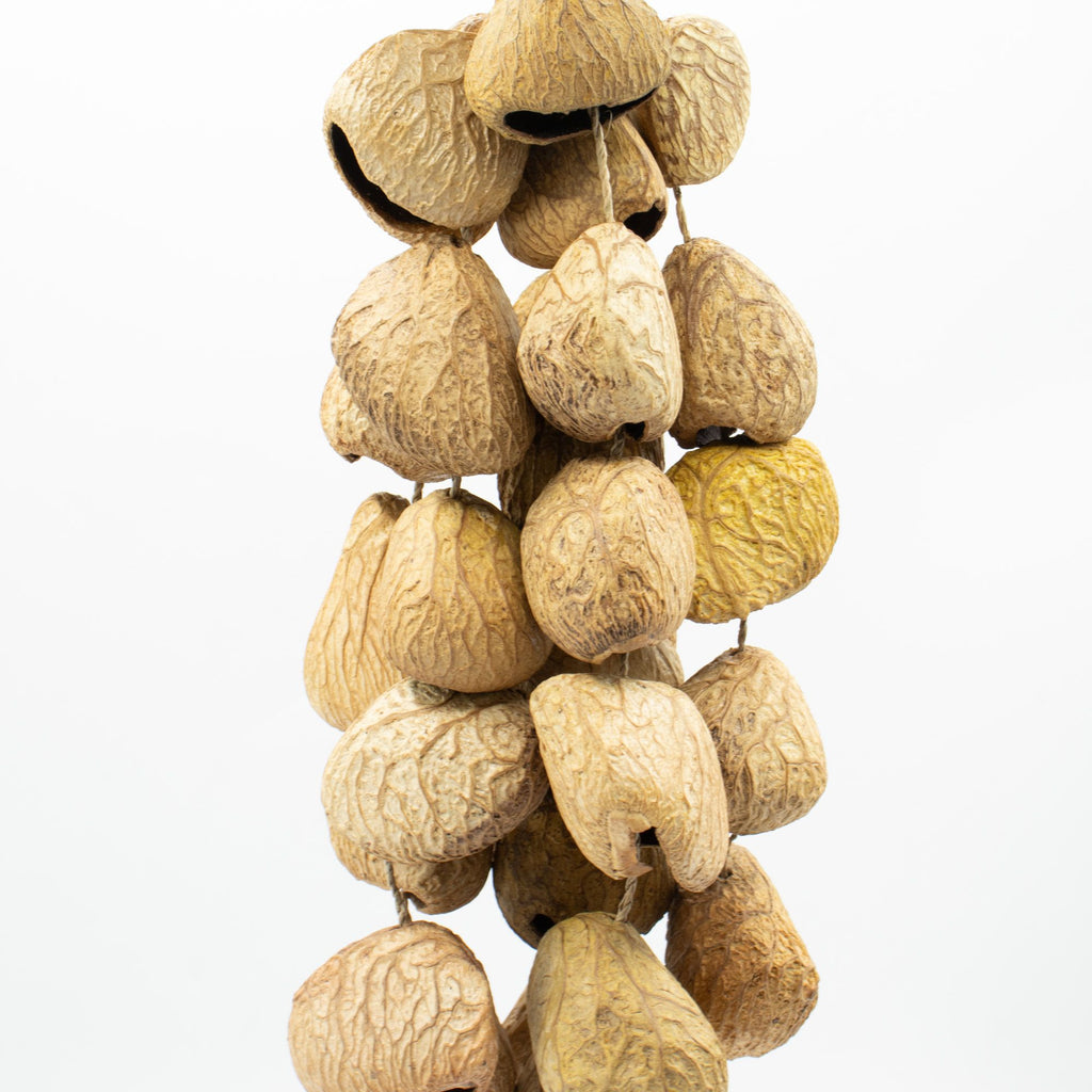 Medium Pangi Seed Shell Shaker - String of 30 Natural Shells – view 3