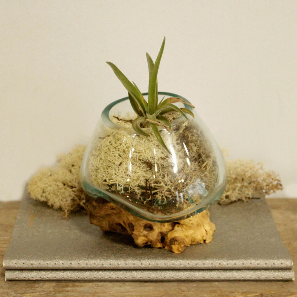Molten Glass Bowl on Wood - Small – view 8
