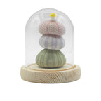 Floral Glow Dome - 3 Sea Urchins, LED USB