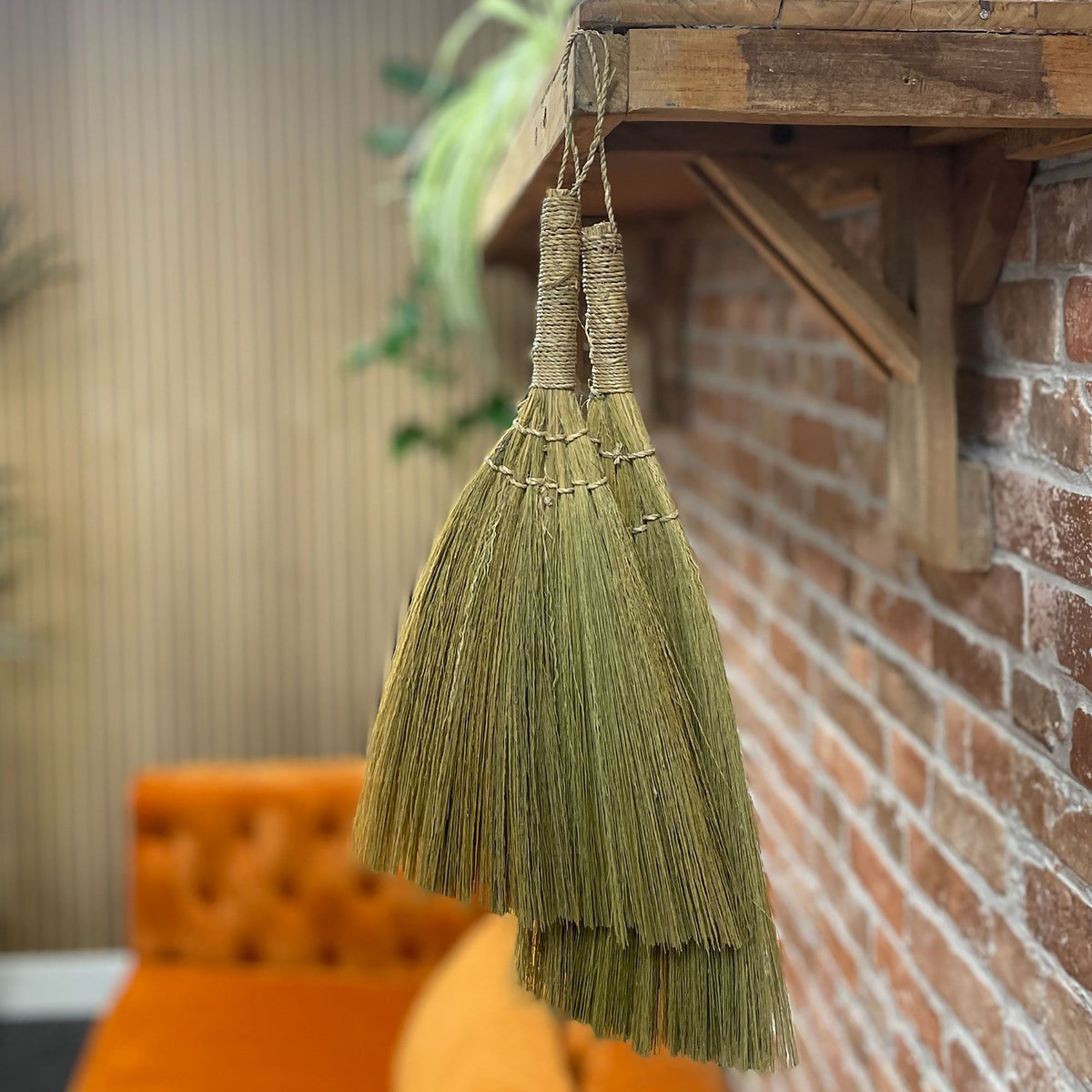 Pampas Fan Broom Set of 4 - Mixed Sizes – view 2
