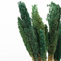 Cantal Grass Bunch - Teal (Set of 6)