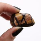 Bag of 12 Nguni Jasper Tumble Stones - Medium African – view 2