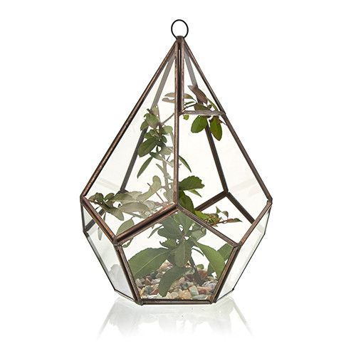 Glass Terrarium, Large Pyramid – view 3