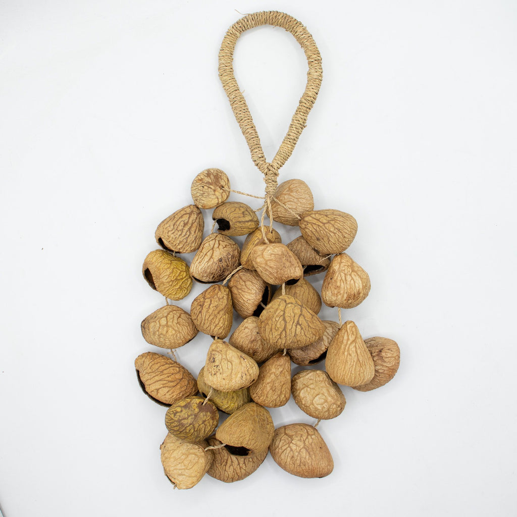 Medium Pangi Seed Shell Shaker - String of 30 Natural Shells – view 4