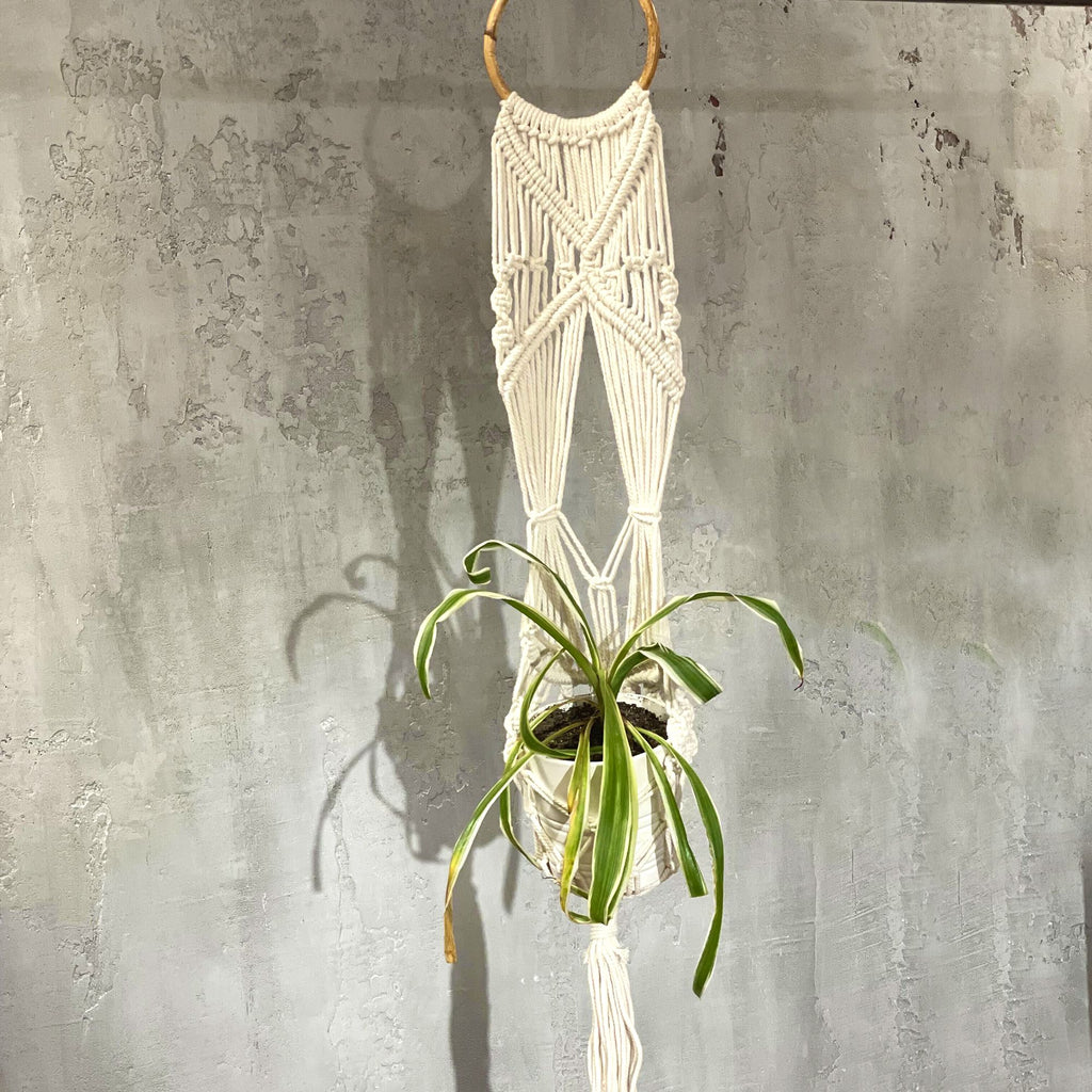 Macrame Plant Hanger with Rattan Hoop, 100cm – view 7