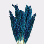 Cantal Grass Bunch - Blue (Set of 6)