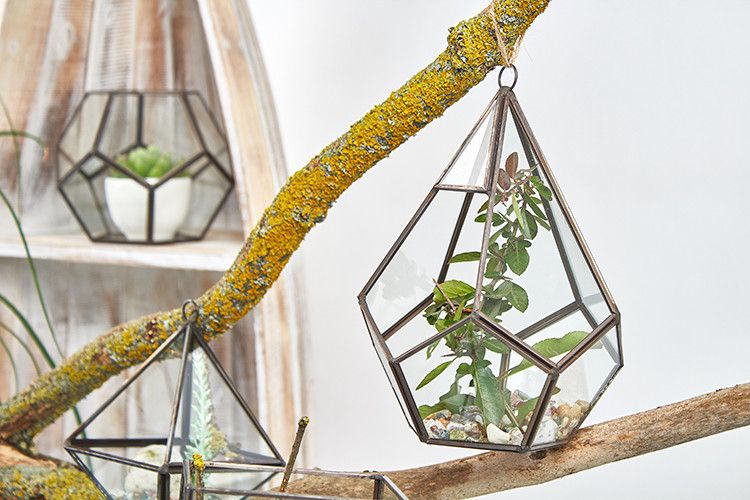 Glass Terrarium, Large Pyramid