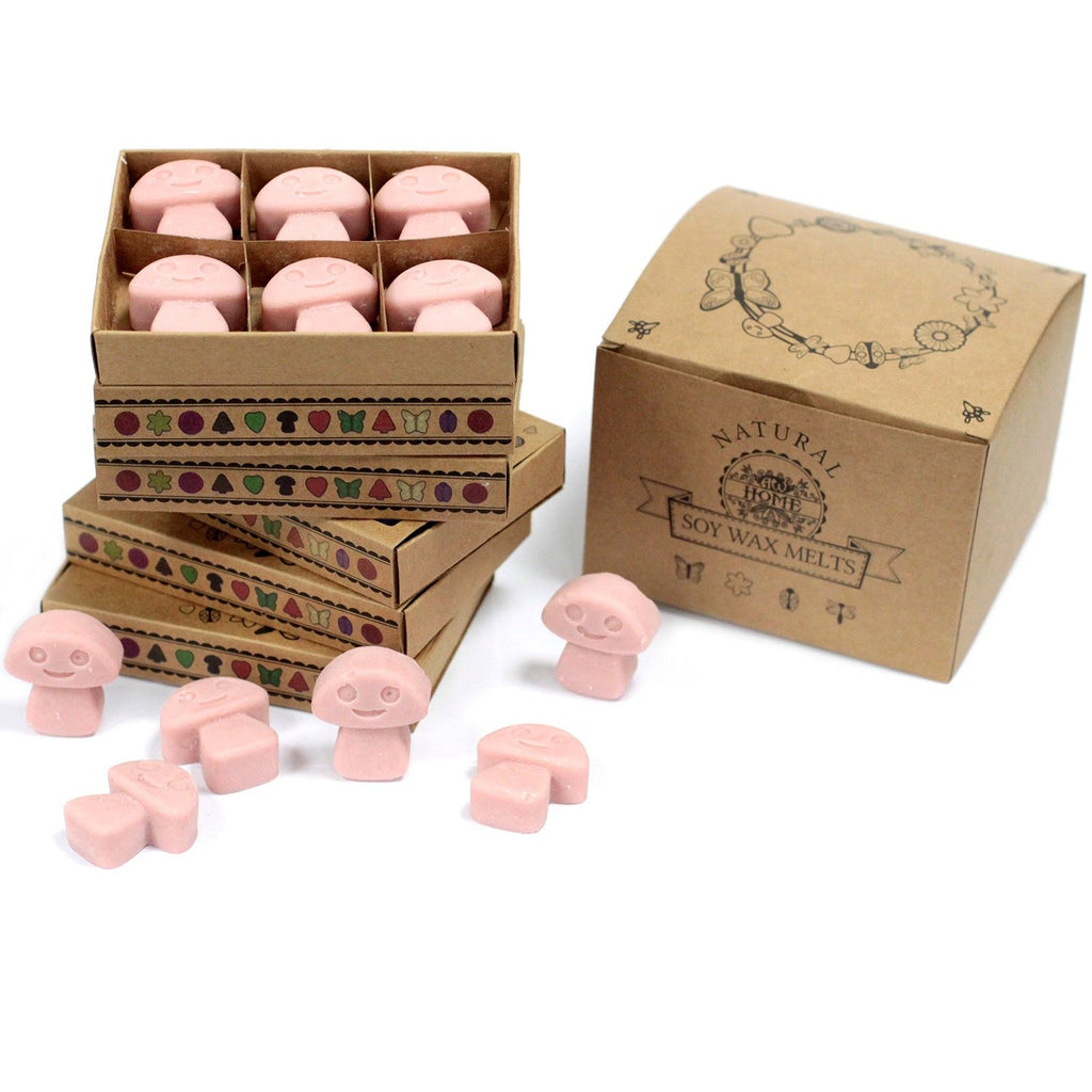 Coffee Trader Wax Melts Gift Box of 6 – view 4