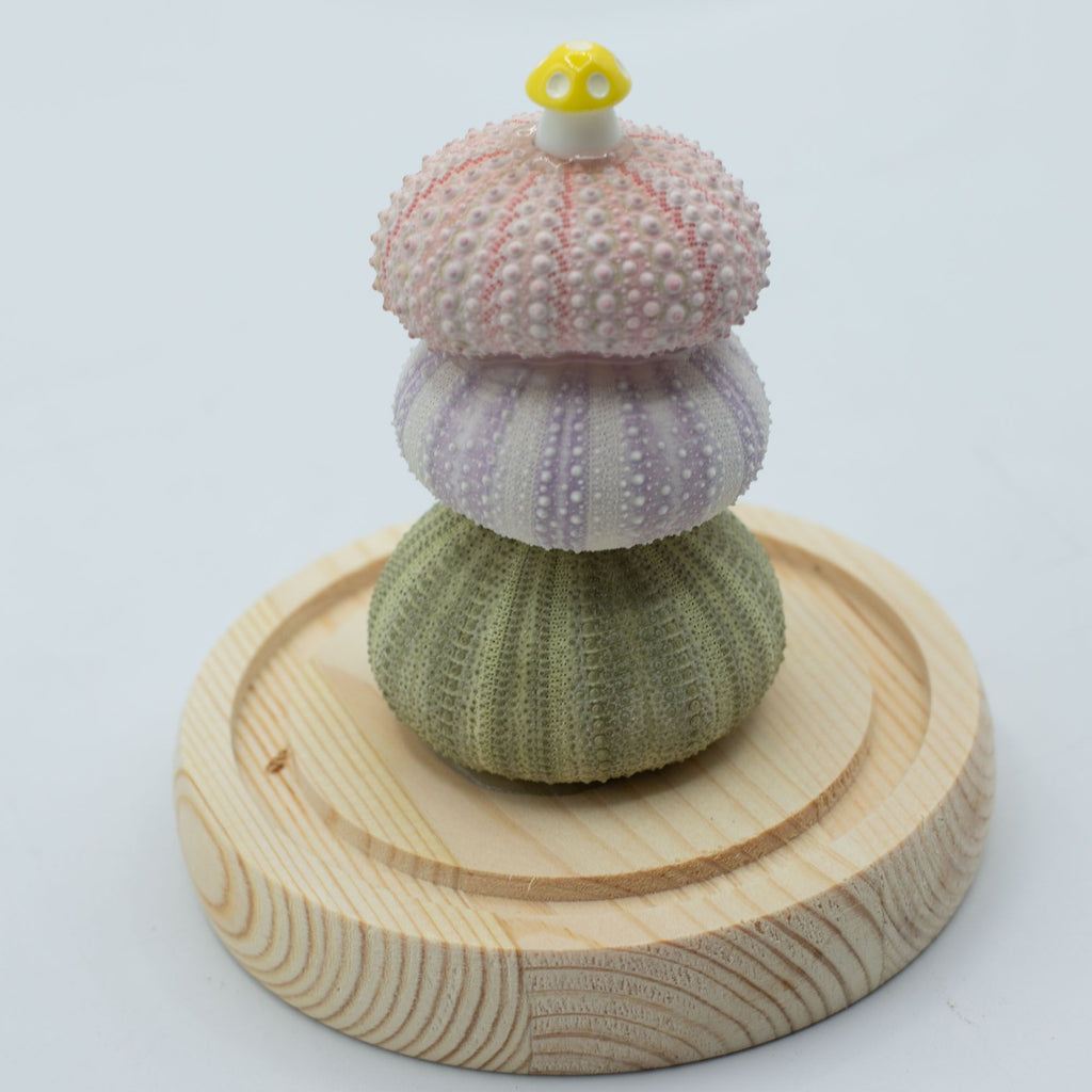 Floral Glow Dome - 3 Sea Urchins, LED USB – view 3